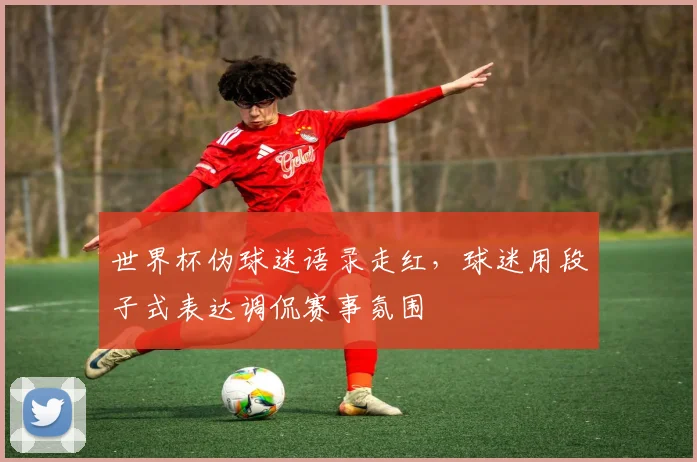 世界杯伪球迷语录走红，球迷用段子式表达调侃赛事氛围